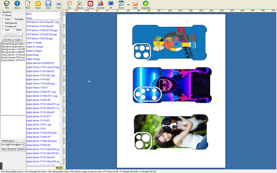 Daqin 10000 Mobile Skin Software Kostenlose Download-Vorlage für Telefonzubehör-Shop