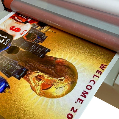 Daqin Laptop Screen Die Cut Sticker Maker Machine, die Vinyl-Aufkleber druckt