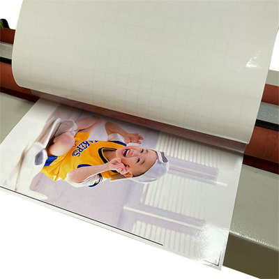 Dell Laptop Skin Cutting Machine-Pferdestärken Elitebook-Aufkleber entwerfen Programm-Verpackungen